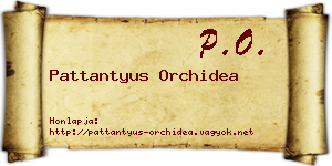 Pattantyus Orchidea névjegykártya
